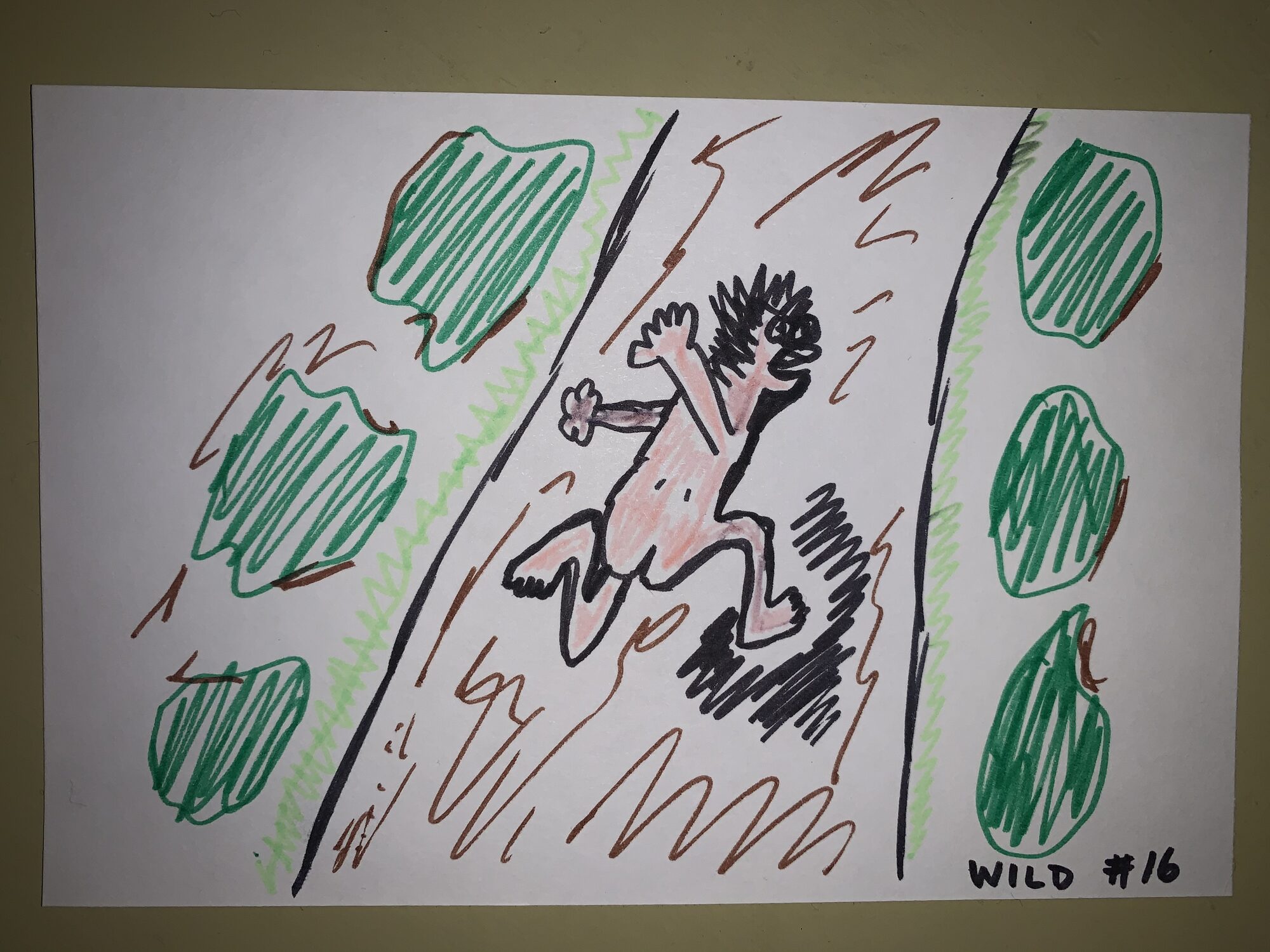wild wild