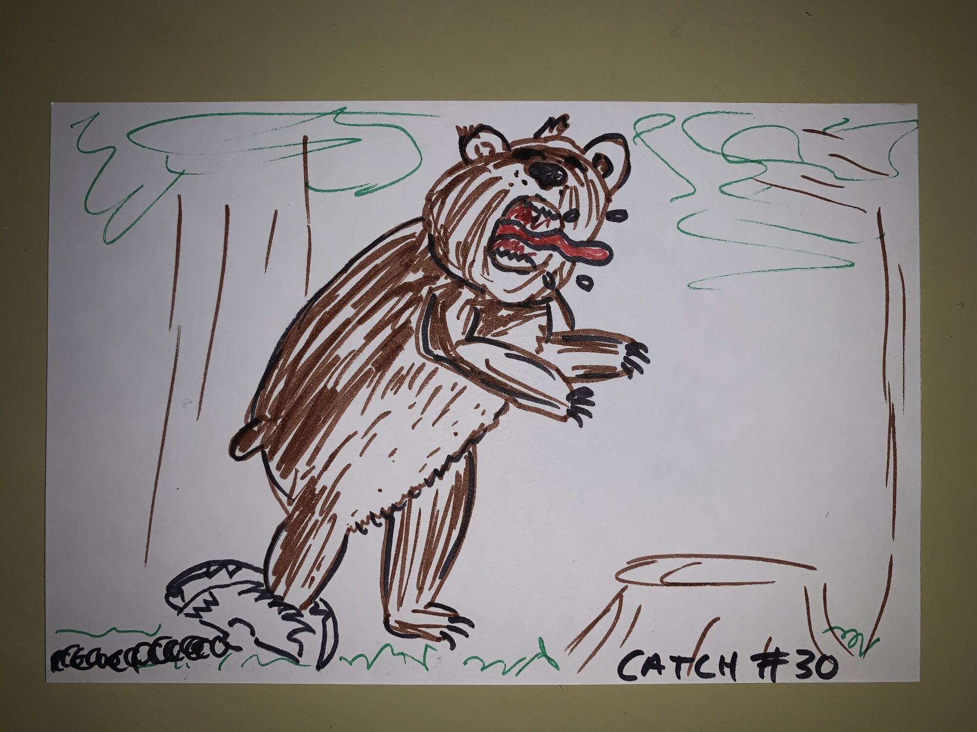 catch catch